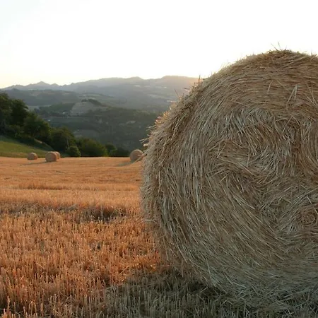 Re Piano Lägenhet Modigliana