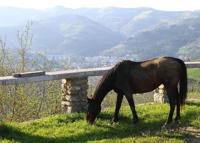 Apartment Re Piano Modigliana