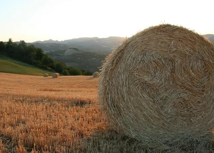 Re Piano Apartment Modigliana